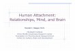 Human Attachment: Relationships, Mind, and Brain · Human Attachment: Relationships, Mind, and Brain Daniel J. Siegel, M.D. Mindsight Institute UCLA Mindful Awareness Research Center