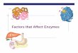 Factors that Affect Enzymes - rvrhs.com Notes 23... · Factors affecting enzyme function Salt concentration changes in salinity adds or removes cations (+) & anions (–) disrupts