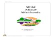 Wild About Wetlands - Teacher Bulletin · Wild About Wetlands Introduction: Destruction of wetlands environments has been a controversial issue in North America for many years. Some