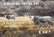 ANIMAL HEALTH - oie.int · relevant animal disease, including zoonoses. All provided data is made public through the OIE’s web interface named World Animal Health Information System