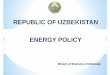 REPUBLIC OF UZBEKISTAN ENERGY POLICYENERGY POLICY - … · Factors assuring sustainable economic development of the Republic ofthe Republic of Uzbekistan during 2014during 2014-2030