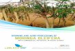 GROWING AND AGRO-PROCESSING OF MORINGA OLEIFERA - … · MORINGA OLEIFERA GROWING AND AGRO-PROCESSING OF WITH COMMERCIAL POTENTIAL IN SOUTH AFRICA INTEGRATED SUSTAINABLE SOLUTIONS