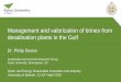 Management and valorization of brines from desalination ...wesii.uob.edu.bh/images/Presentations/Managementandvalorizationof... · Technologies to recover Li - membranes Electrospun