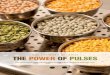 Power of Pulses Recipe Guide - Montana Office of Public ...opi.mt.gov/Portals/182/Page Files/School Nutrition/Menu Planning/PowerPulses... · minced, unless you are using jarred garlic