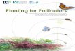 Guiding Principles and Design Concepts for Residential ... for... · Guiding Principles and Design Concepts for Residential Pollinator Habitat E as t er n T ai led-B u 7 5 0-1 5 0