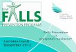 Lorraine Lovitt December 2012 - Medicine, Nursing and ...€¦ · lorraine.lovitt@cec.health.nsw.gov.au. NSW Falls Prevention Program . Clinical Excellence Commission