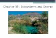 Chapter 55: Ecosystems and Energy - ahschools.us fileChapter 55: Ecosystems and Energy. Ecosystems Ecosystem = sum of all the organisms living within its boundaries (biotic community)