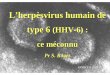 L’ herpèsvirus humain de type 6 (HHV -6) : ce méconnu · virus B du singe : herpes virus simiae Genre Roseolovirus. Génome : ADN double brin Capside icosa édrique Enveloppe