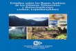 Estudios sobre las Ranas Andinas de los Géneros ...uahost.uantwerpen.be/funmorph/raoul/herpeto/DeLaRiva2005.pdf · de los bosques nublados de Cochabamba y La Paz, la cual comparte