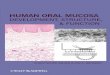 Human Oral Mucosa: Development, Structure, and fileHUMAN ORAL MUCOSA DEVELOPMENT, STRUCTURE, & FUNCTION HUMAN ORAL MUCOSA: DEVELOPMENT, STRUCTURE, & FUNCTION is a new text that reflects