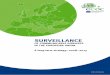 SURVEILLANCE - ecdc.europa.euecdc.europa.eu/sites/portal/files/documents/surveillance-communicable... · Surveillance of communicable diseases in the European Union A long-term strategy