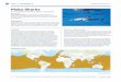Isurus oxyrinchus and Isurus paucus - Proposal 42 · CITES CoP18 2 LISTING PROPOSAL 42 YES on APPENDIX II FISHERIES The main threat to Mako Sharks is overﬁ shing. Shortﬁ n Makos