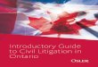 Civil Litigation in Ontario: Introductory Guide · Judge-made rules are also a source of law and procedure. A. RULES OF PROCEDURE The Ontario Rules of Civil Procedure (the Rules)