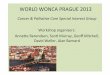 WORLD!WONCA!PRAGUE!2013!. Weller.pdf · SuPaC Lung Cancer Follow-Up Study Integrang!lung!cancer!followUup! Specialist nurses Highly-skilled,specialised knowledge Familiarity with
