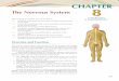 CHAPTER The Nervous System 8 8 - Amazon S3s3.amazonaws.com/Careertec/Manuals and Texts/Medical/Medical... · The nervous system directs the function of all the human body systems