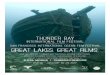 Great Lakes. Great Films. - Microsoft · more than 170,000 square miles of ocean and Great Lakes waters. These films illustrate how all of us are connected to the ocean. This festival