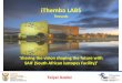iThemba LABS - agenda.infn.it · iThemba LABS (Laboratory for Accelerator Based Science) iThemba LABS provides research platforms for pure and applied research, development and training