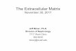 The Extracellular Matrix - Washington University in St. Louismcb5068.wustl.edu/MCB/Review Sessions/2017 Review Sessions/Exam 3/Miner... · the extracellular matrix to the force generating