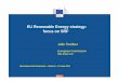 EU Renewable Energy strategy: focus on SRF · EC Report on Progress of RES (27 March 2013 ‐ COM 175 Final) ... • European Industrial Initiatives ‐> TechnologyRoadmaps • EERA