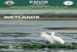 What are wetlands - Home: ENVIS Centre Tamil Nadu · Wetlands in Tamil Nadu The wetlands in Tamil Nadu comprise lakes, ponds, reservoirs and seasonally waterlogged areas. It may be