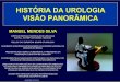HISTÓRIA DA UROLOGIA VISÃO PANORÂMICA · histÓria da urologia visÃo panorÂmica janeiro de 2015 manuel mendes silva chefe de serviÇo hospitalar de urologia (ex-hcl, ex-hmp,