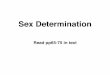 Sex Determination - mcb.berkeley.edu · Mechanisms of sex determination Chromosomal sex determination: In flies and mammals females are the homogametic sex (XX) and males the heterogametic