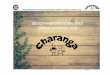 MERCHANDISING GUIDELINES SPRING-SUMMER 2018charangaonline.com/intranet/int/wp-content/uploads/2018/02/CHARANGA...As you are already receiving the new Charanga Summer 18 collections,