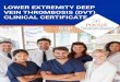 LOWER EXTREMITY DEEP VEIN THROMBOSIS (DVT) CLINICAL ... · Lower Extremity Deep Vein Thrombosis (DVT) Clinical Certificate includes: • Must be a health care professional in good