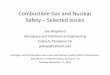 Combustible Gas and Nuclear Safety – Selected Issues Working Group/_Nuclear...Combustible Gas and Nuclear Safety – Selected Issues Joe Shepherd Aerospace and Mechanical Engineering