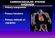 CARDIOVASCULAR SYSTEM 420/Unit 2 Cardiovascular...¢  CARDIOVASCULAR SYSTEM OVERVIEW ... Rhythmical Excitation