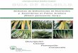International Plant Nutrition Institute GUIA DE BBOLSILLOnla.ipni.net/ipniweb/region/nla.nsf/e0f085ed5f091b1b852579000057902e... · University Press, Kuala Lumpur, 280 pp. 5 International