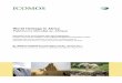 Prepared and edited by UNESCO-ICOMOS Documentation Centre ... World Heritage in... · Prepared and edited by UNESCO-ICOMOS Documentation Centre. Updated by Carole Mongrenier and Francesca
