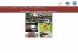 Biomass Energy for Rural India - Carbon Mitigation Report · 2 Prepared by Darshini Ravindranath Submitted to BERI Project Management Unit Biomass Energy For Rural India Society ^FORTI