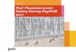 PwC Financial sector Salary Survey PayWell 2017 · PwC Financial sector Salary Survey PayWell 2017 . PwC General description and basic methodological principles 2. PwC Why PwC? 3