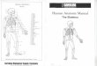 Human Anatomy Manual The Skeleton - Reproduced from BiorevieW8 Sheet 42-6730 Human Skeleton 1. Survey