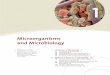 Microorganisms and Microbiology · microbiology, look at microorganisms as cells, examine where and how microorganisms live in nature, survey the evolutionary history of microbial