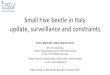 Small hive beetle in Italy: update, surveillance and ... · S. mall hive beetle in Italy: update, surveillance and constraints. Franco Mutinelli. 1, Andrea Maroni Ponti. 2. NRL for