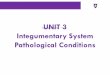 UNIT 3 Integumentary System Pathological Conditions€¦ · TINEA Fungal infection whose name commonly indicates the body part affected; also called ringworm. Examples of tinea include