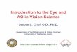 Introduction to the Eye and AO in Vision Science€¦ · Introduction to the Eye and AO in Vision Science Stacey S. Choi O.D., Ph.D. Department of Ophthalmology & Vision Science University
