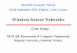 Wireless Sensor Networks · DemAAL Summer School 16-20 September 2013, Chania, Crete, Greece Wireless Sensor Networks Cem Ersoy NETLAB, Department of Computer Engineering