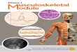 Musculoskeletal Module - medical.sjp.ac.lkmedical.sjp.ac.lk/downloads/module-books/phase-i/9 Musculoskeletal.pdf · This module presents an introduction to the skeletal system itself,