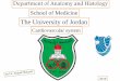 Department of Anatomy and Histology School of Medicine · Department of Anatomy and Histology School of Medicine The University of Jordan 2019 Cardiovascular system. 10/26/2019 Dr