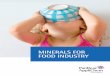 MINERALS FOR FOOD INDUSTRY · Minerals are inorganic compounds, mainly salts, which are essential for life. Found in bones and teeth, they are involved in metabolic and biochemical