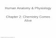 Human Anatomy & Physiology Chapter 2: Chemistry Comes Aliveclasspages.warnerpacific.edu/bdupriest/BIO 221/Chapter 2 Chemistry.pdf · charged ions formed attract each other. ... 3