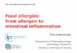 Food allergies: from allergen to intestinal inflammation winter... · Food allergies: from allergen to intestinal inflammation Eva Untersmayr Department of Pathophysiology and Allergy