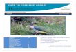 A Regional Group of BirdLife WA since 2005 Cape …birdswa.com.au/Branches/CapeToCape/Newsletter/Newsletter...A Regional Group of BirdLife WA since 2005 Cape Naturaliste to Cape Leeuwin