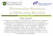 Photonuclear Reactions at HIGS using Blowfish · Photon Flux Monitor There are only a few photons in each bunch (bunch rate 5.58 MHz) At high photon rates there is chance that more