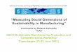 “Measuring Social Dimensions of Sustainability in Manufacturing” · 2016-03-29 · “Measuring Social Dimensions of Sustainability in Manufacturing” Comments by Roland Schneider