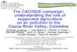 The CACIQUE campaign: understanding the role of sugarcane ... /Session2...آ  The CACIQUE campaign: understanding
