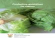 PProduction guidelines roduction guidelines ffor Lettuceor Lettuce · 2011-06-20 · The soil should be worked to a ﬁ ne tilth , without clods and it should be as level as possible